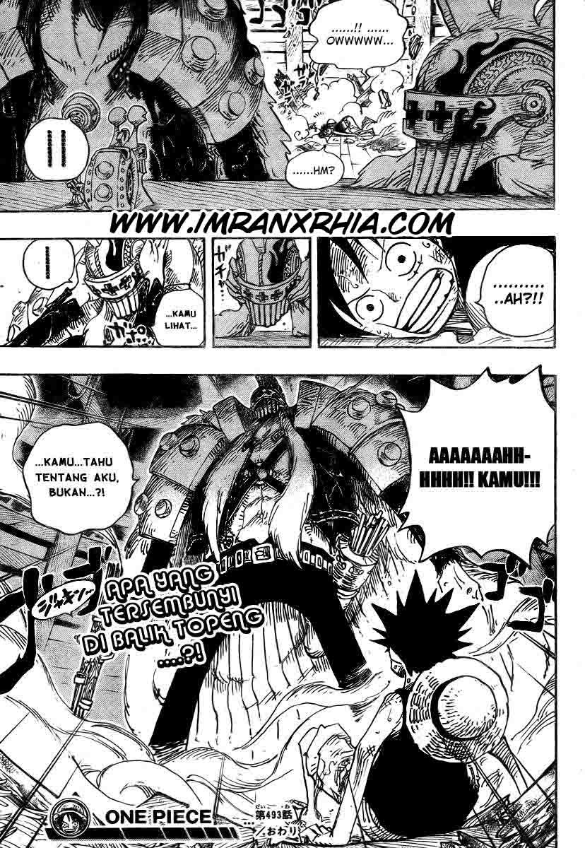 One Piece Chapter 493 Image 18