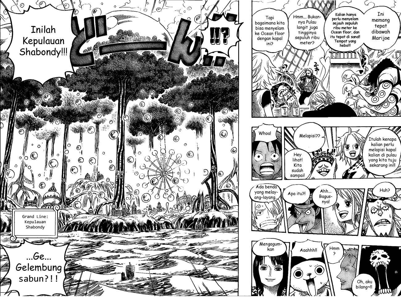 One Piece Chapter 496 Image 11