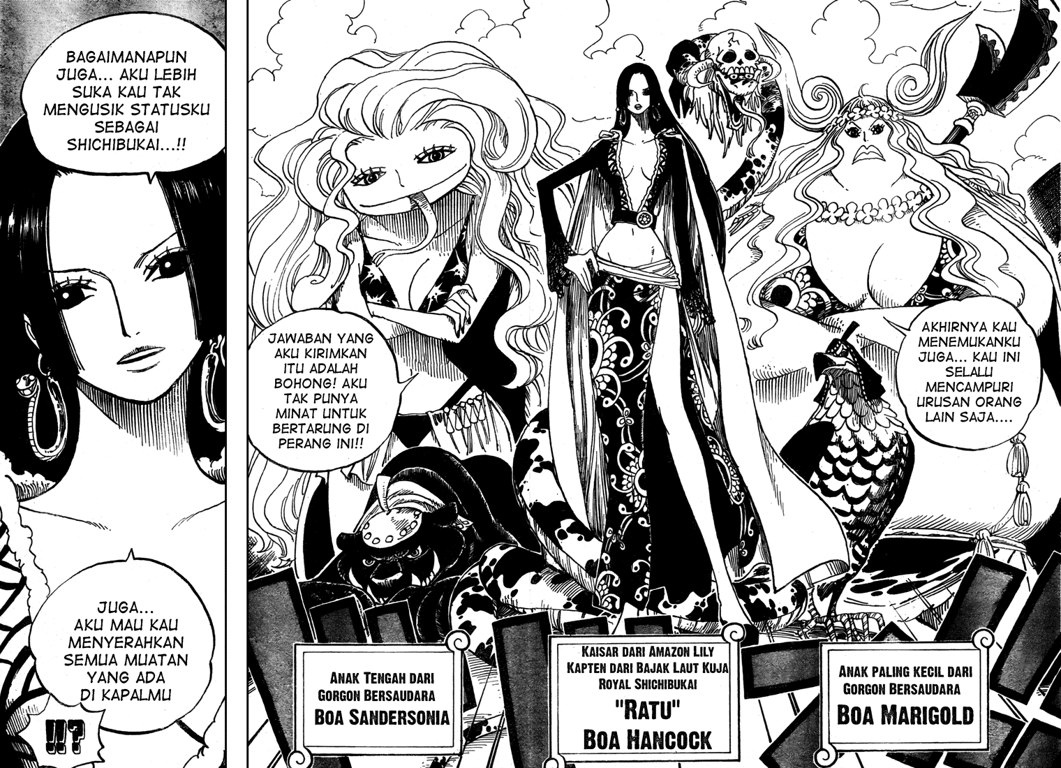 One Piece Chapter 516 Image 10