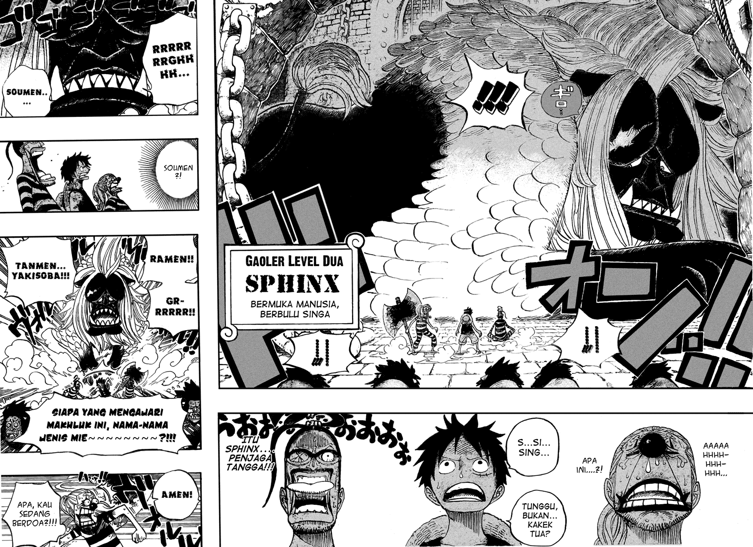 One Piece Chapter 529 Image 10