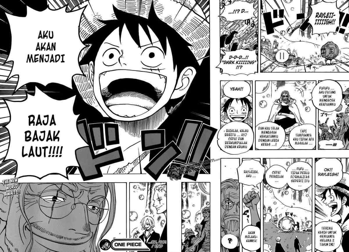 One Piece Chapter 601 Image 14