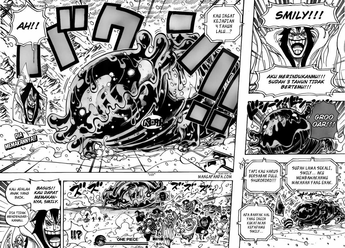 One Piece Chapter 675 Image 18