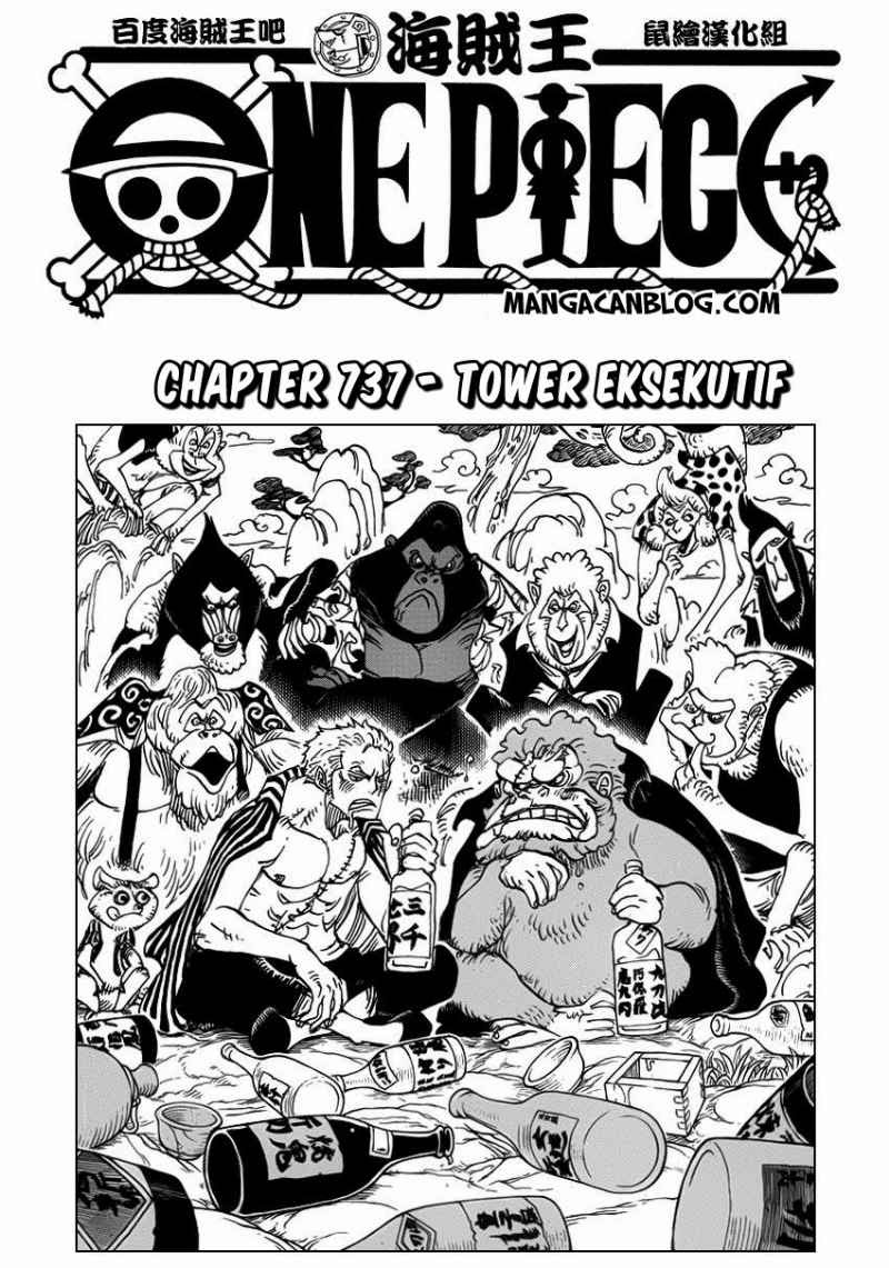 One Piece Chapter 737 Image 3