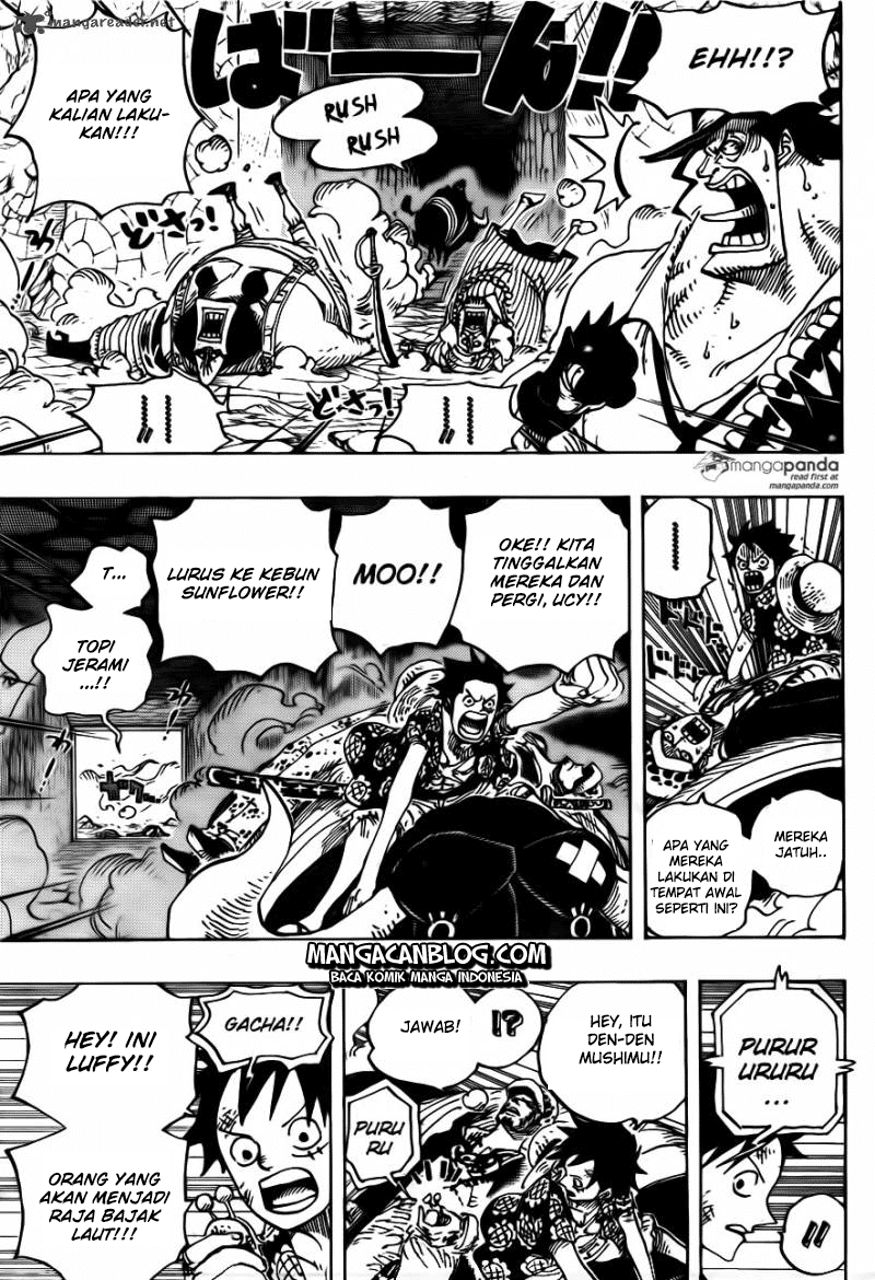 One Piece Chapter 751 Image 14