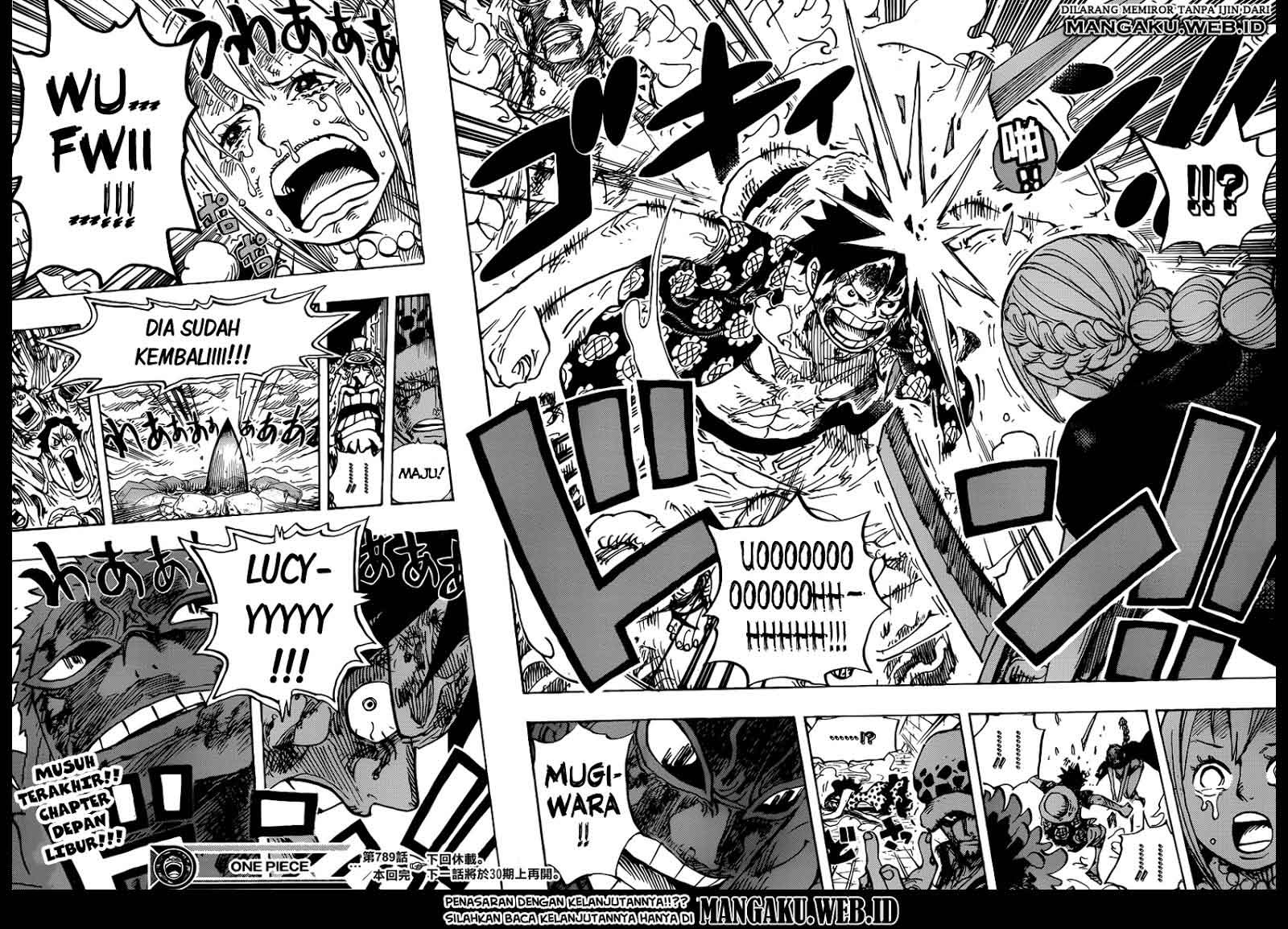 One Piece Chapter 789 Image 18