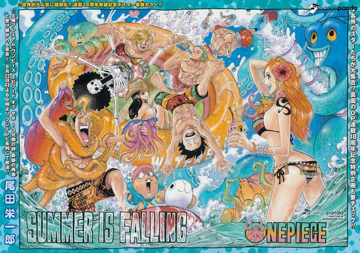 One Piece Chapter 796 Image 2