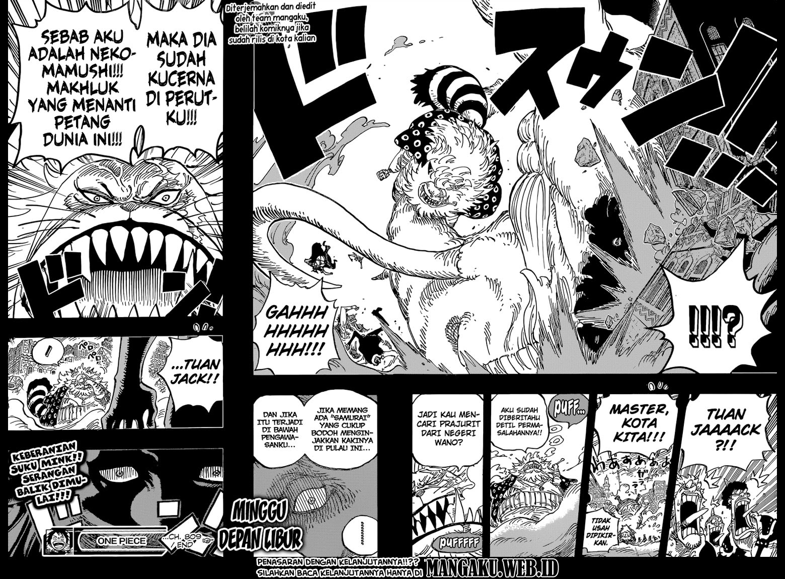 One Piece Chapter 809 – master nekomamushi Image 17