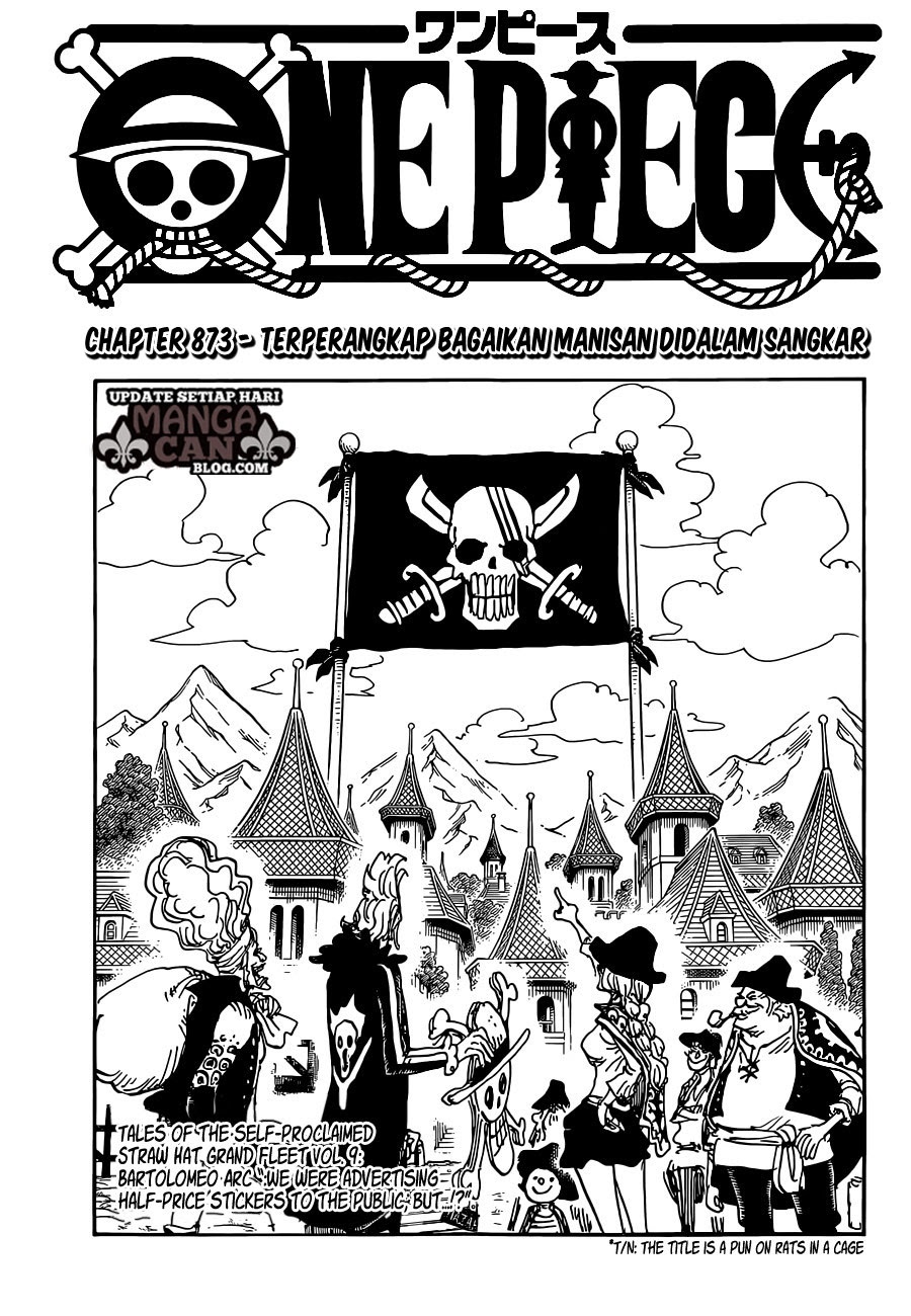 One Piece Chapter 873 Image 0