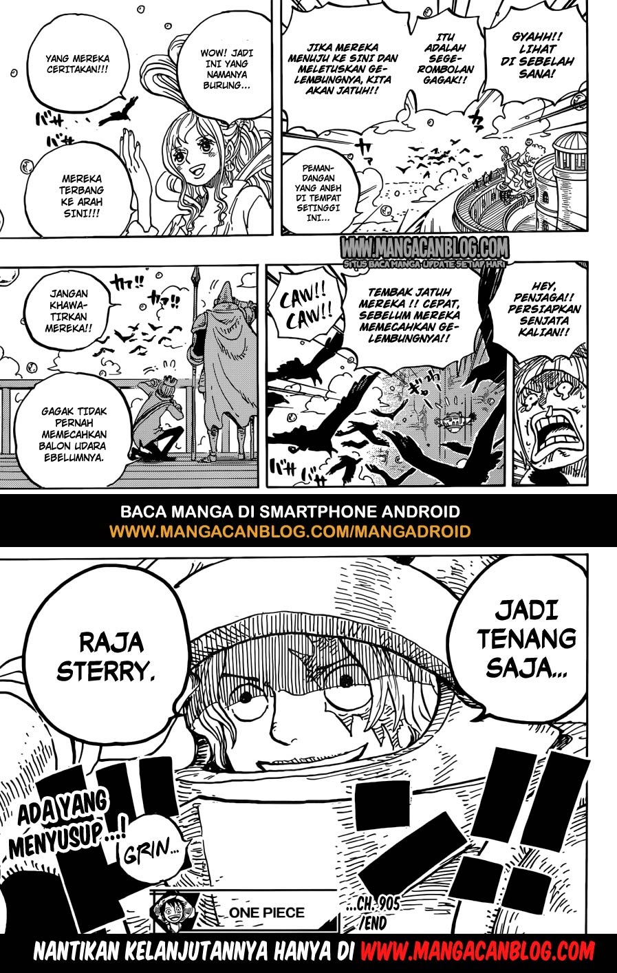 One Piece Chapter 905 Image 15