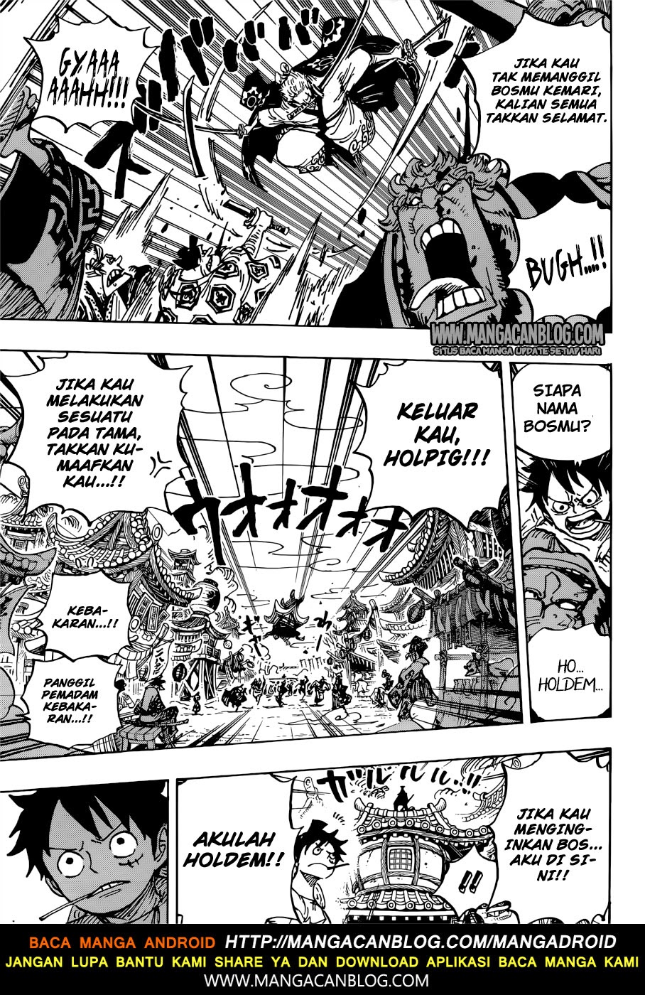 One Piece Chapter 916 Image 18
