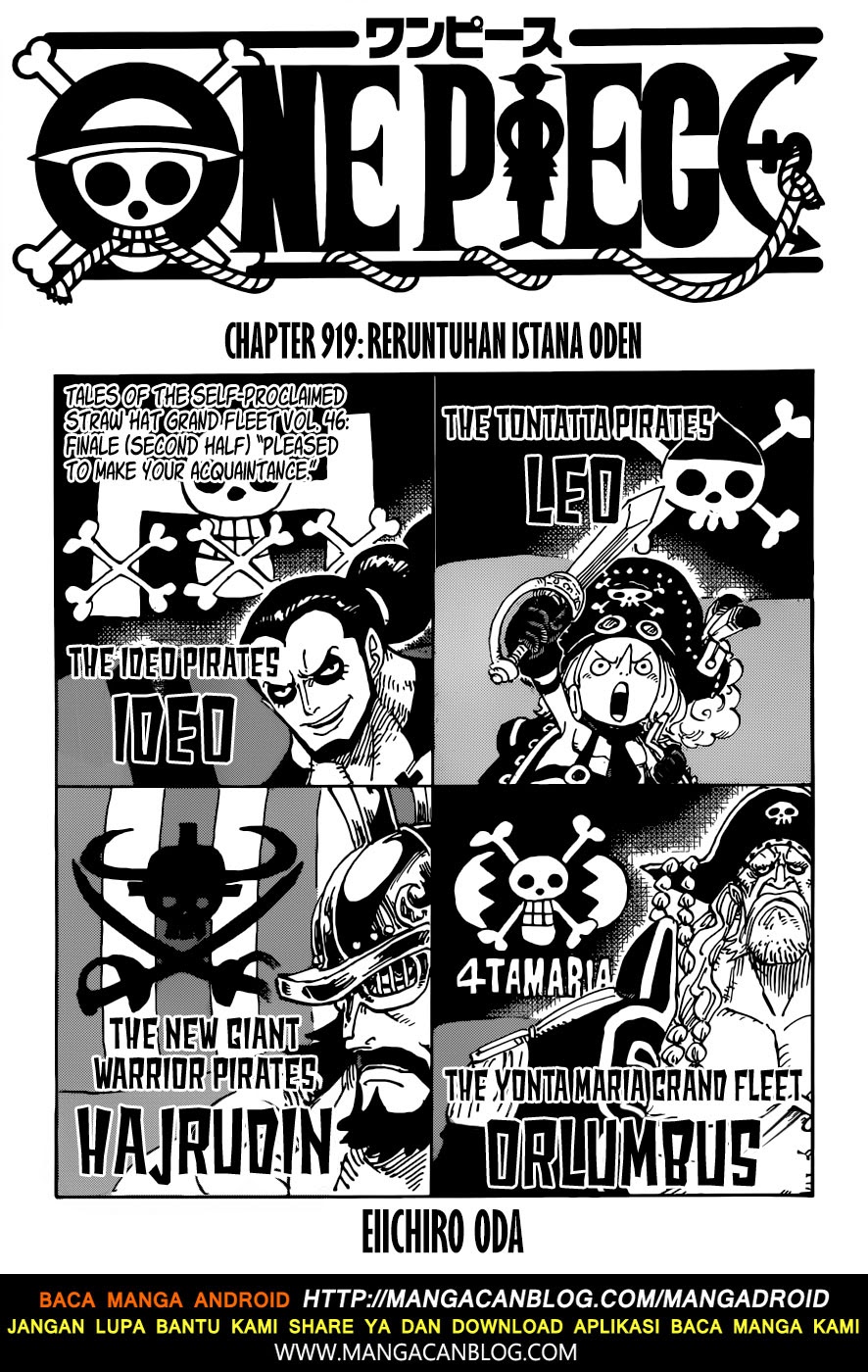 One Piece Chapter 919 Image 0