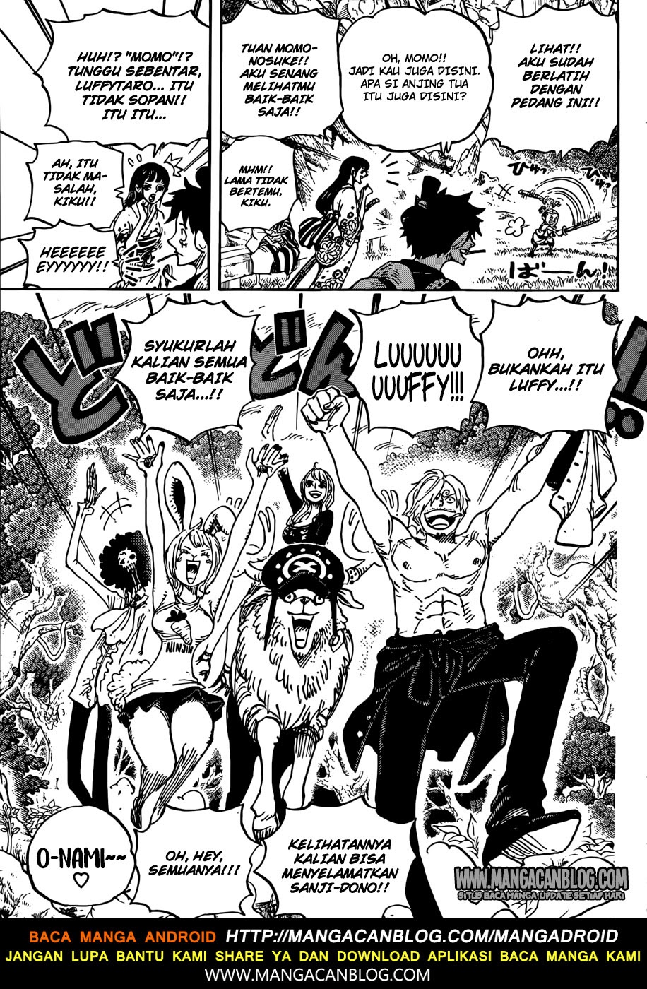 One Piece Chapter 919 Image 13