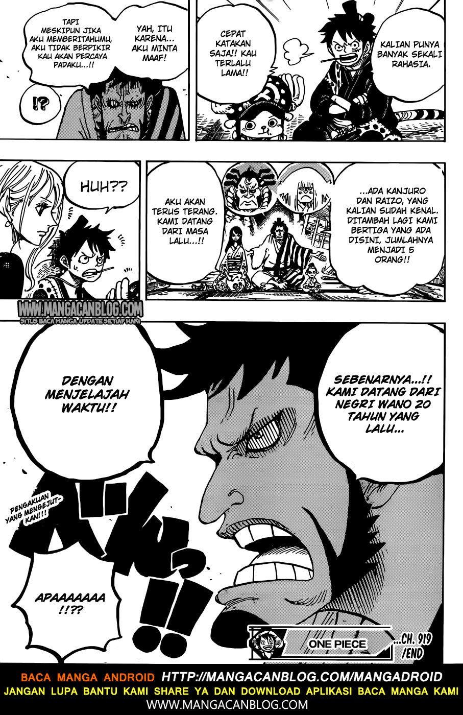 One Piece Chapter 919 Image 15