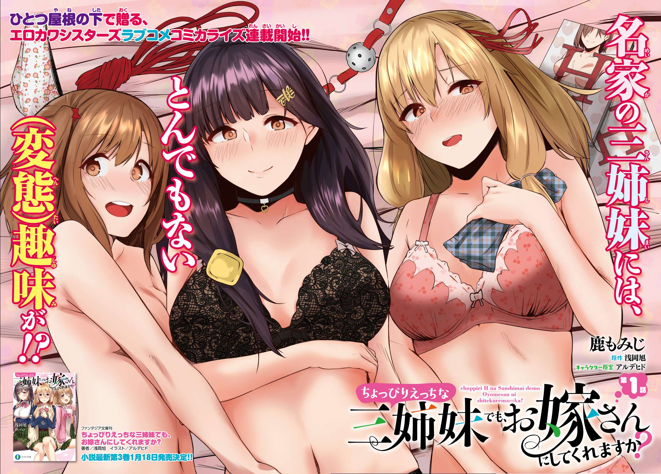 Could You Turn Three Perverted Sisters into Fine Brides? Chapter 01 Image 2