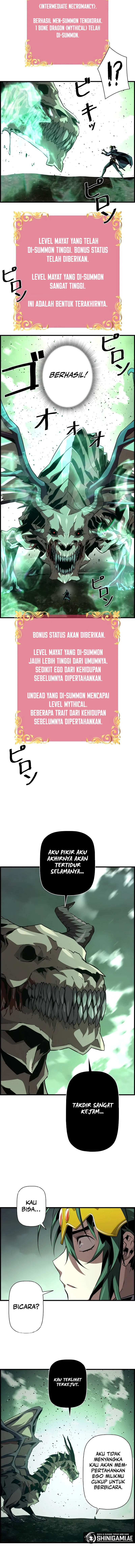 Necromancer’s Evolutionary Traits Chapter 81 Image 13