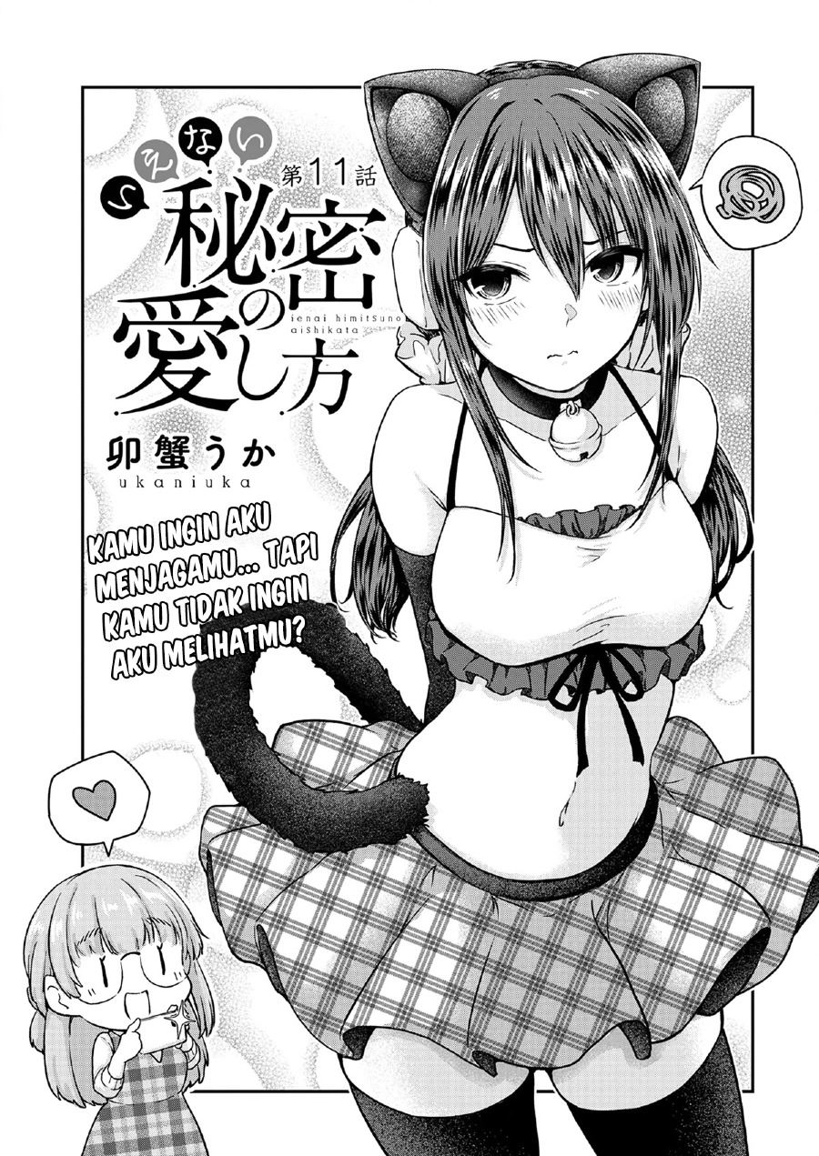 Ienai Himitsu No Aishikata Chapter 11 Image 2