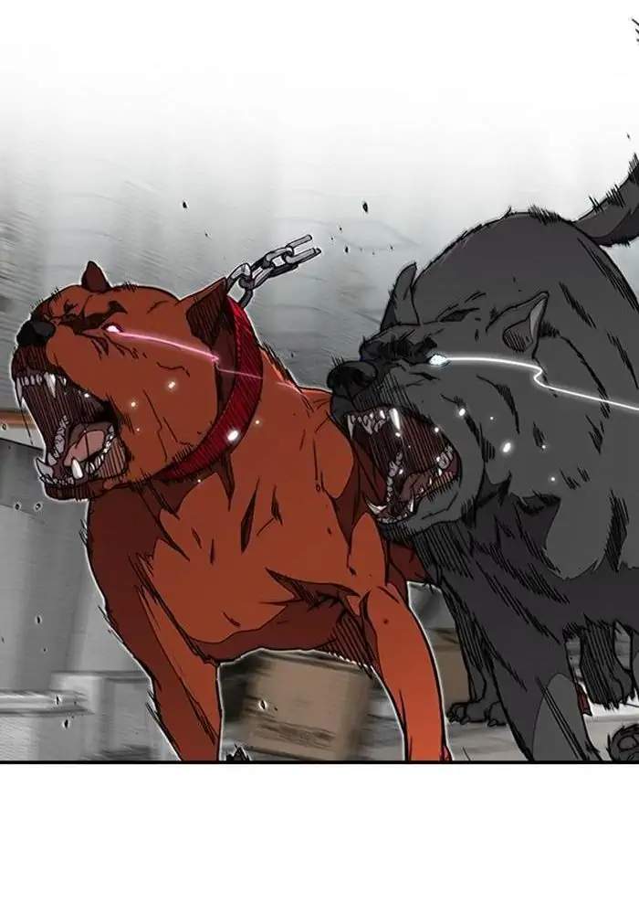 Wind Breaker Chapter 305 Image 106