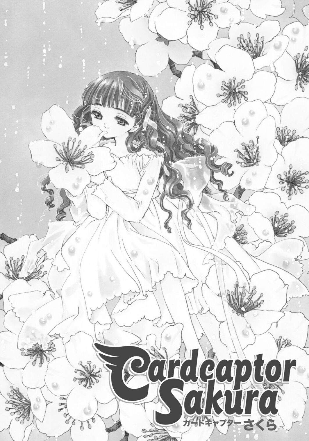 Cardcaptor Sakura Chapter 38 Image 2