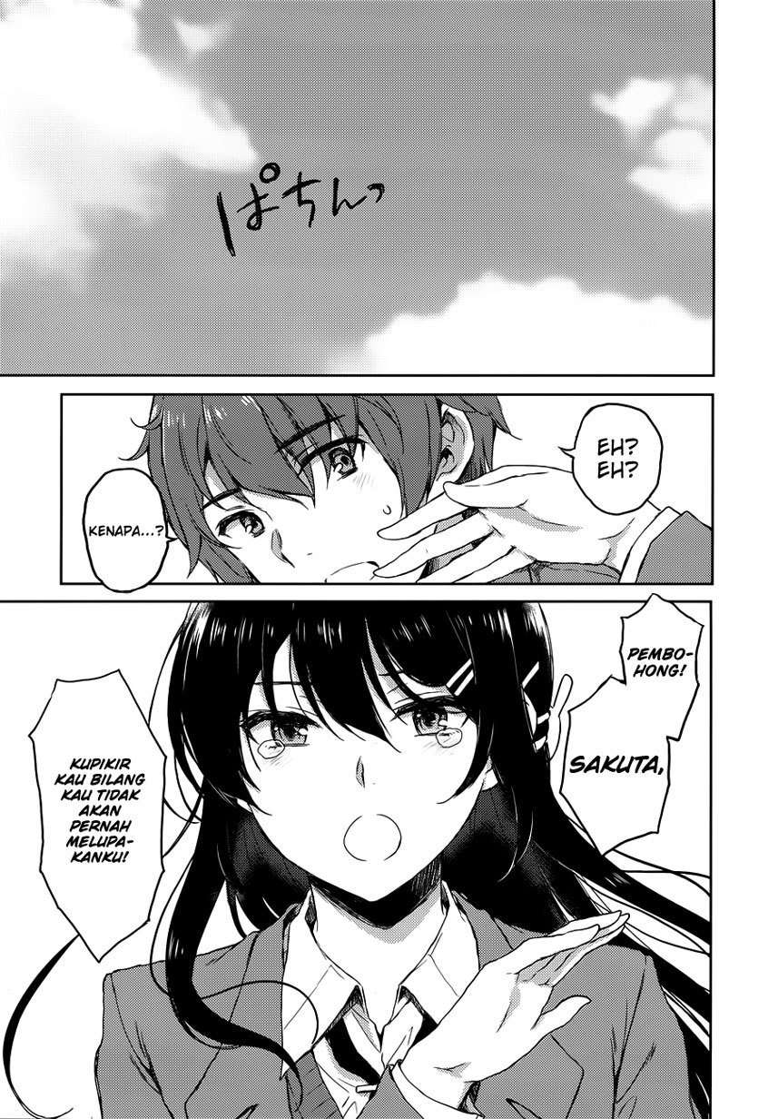 Seishun Buta Yarou wa Bunny Girl Senpai no Yume o Minai Chapter 21 Image 15
