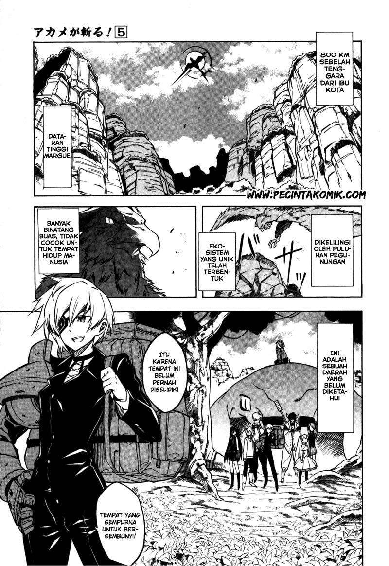 Akame ga Kill! Chapter 22 Image 3