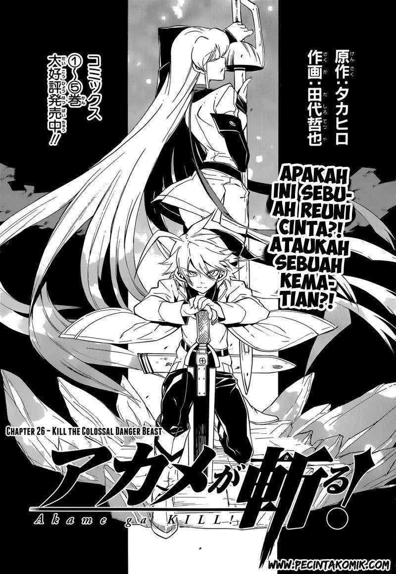 Akame ga Kill! Chapter 26 Image 3