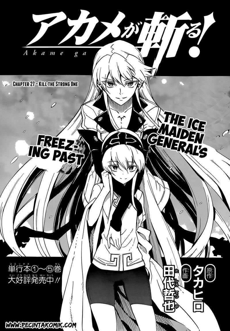 Akame ga Kill! Chapter 27 Image 3
