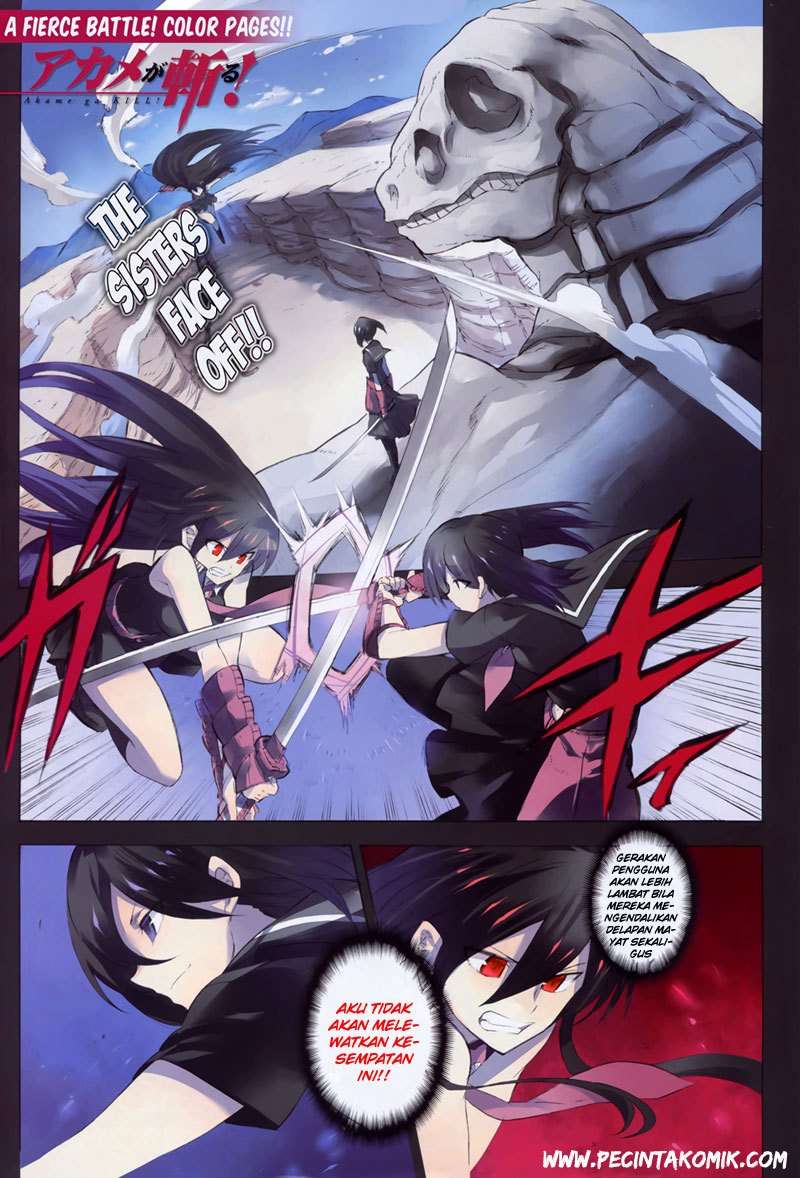 Akame ga Kill! Chapter 30 Image 2