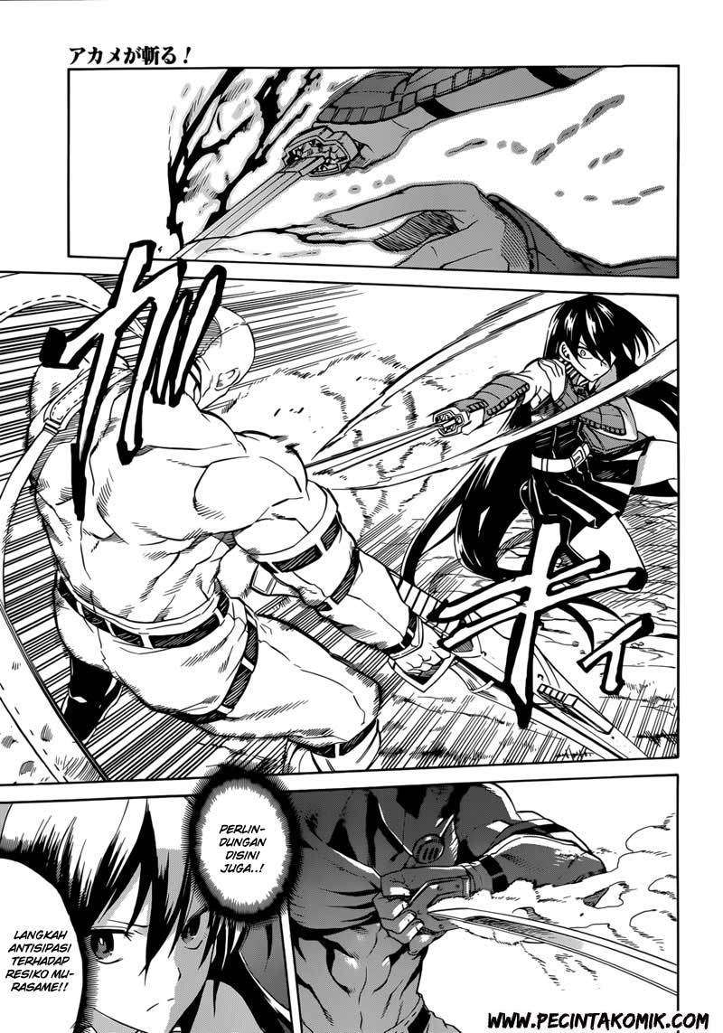 Akame ga Kill! Chapter 31 Image 7