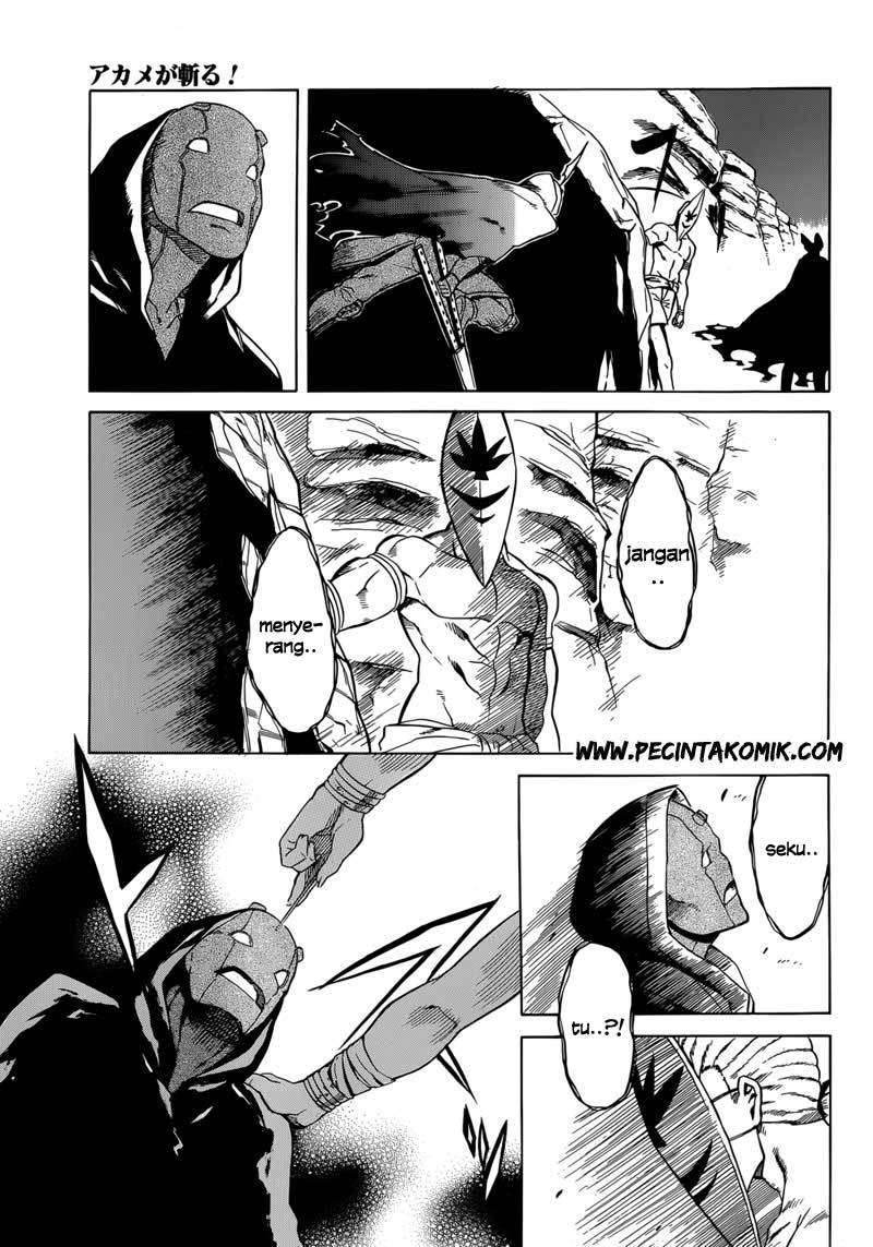 Akame ga Kill! Chapter 31 Image 25
