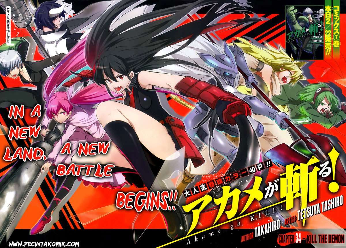 Akame ga Kill! Chapter 35 Image 4