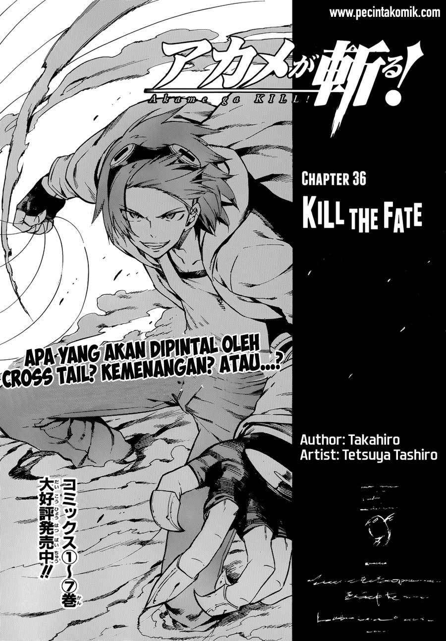 Akame ga Kill! Chapter 37 Image 5