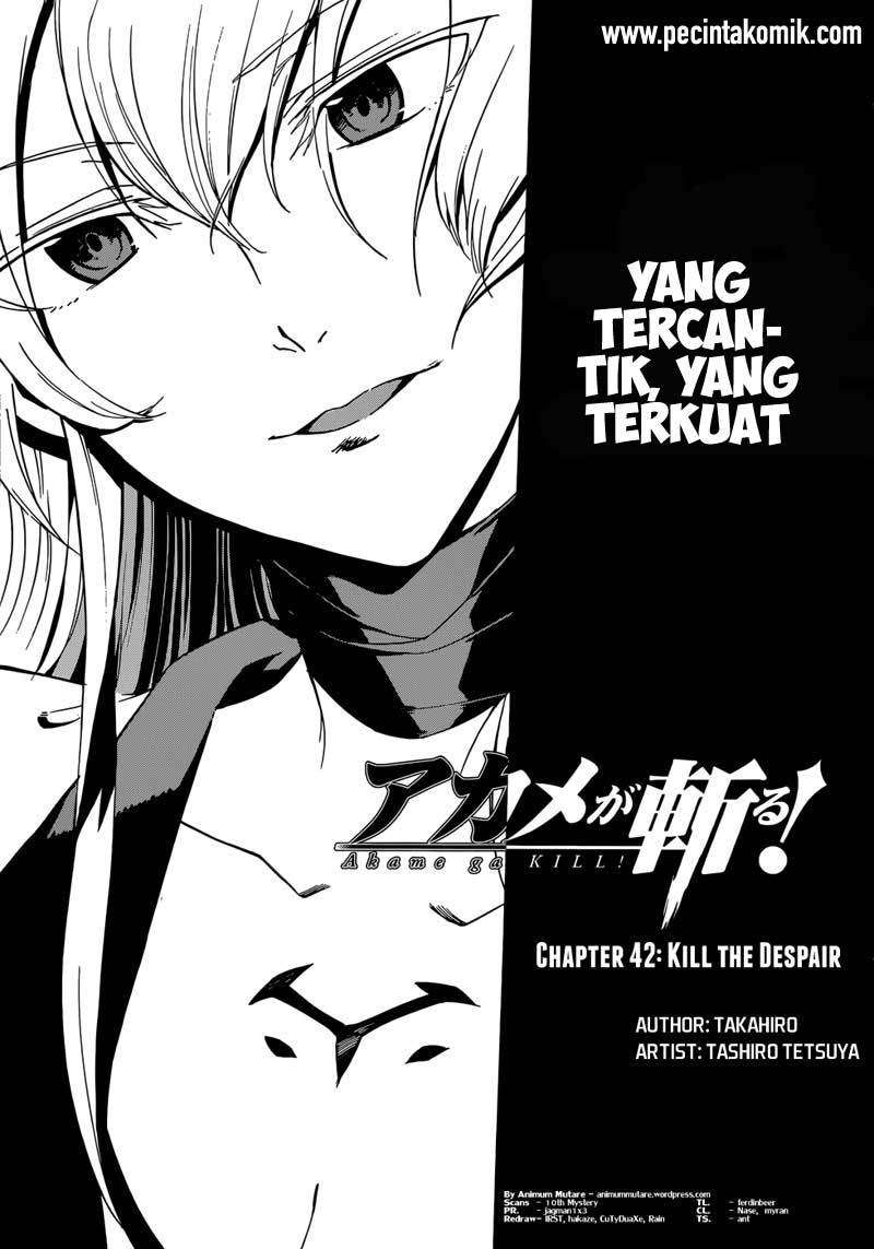 Akame ga Kill! Chapter 43 Image 3