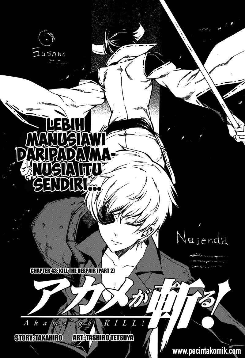 Akame ga Kill! Chapter 44 Image 3