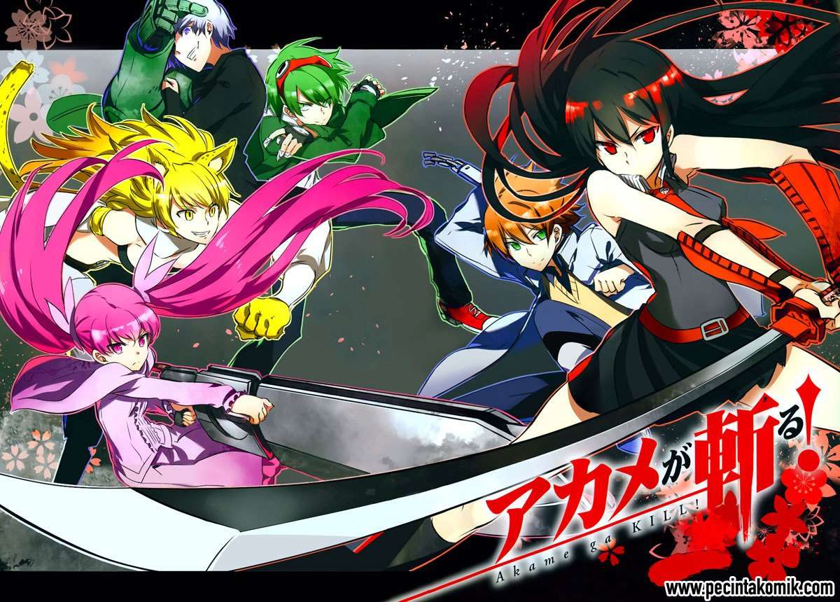 Akame ga Kill! Chapter 46 Image 2