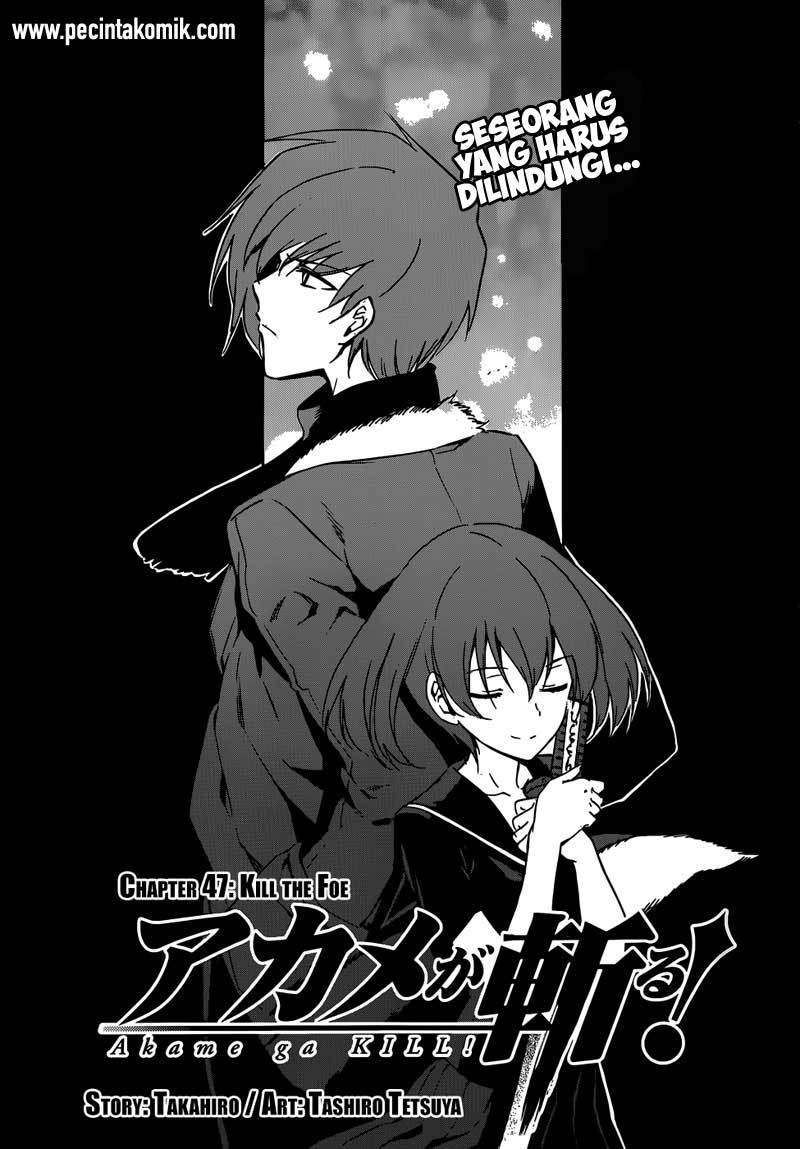 Akame ga Kill! Chapter 48 Image 3