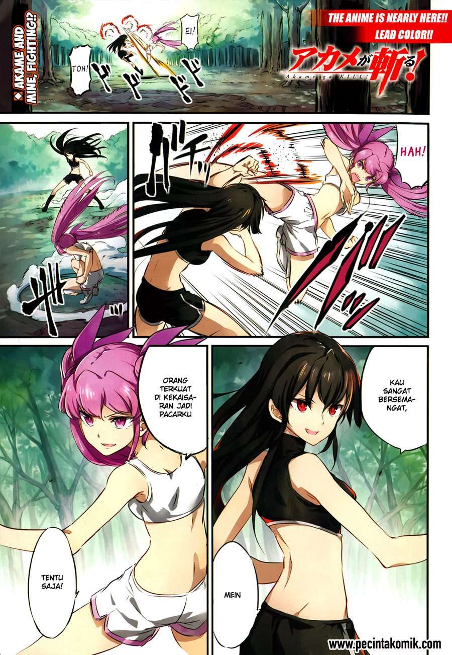 Akame ga Kill! Chapter 50 Image 9