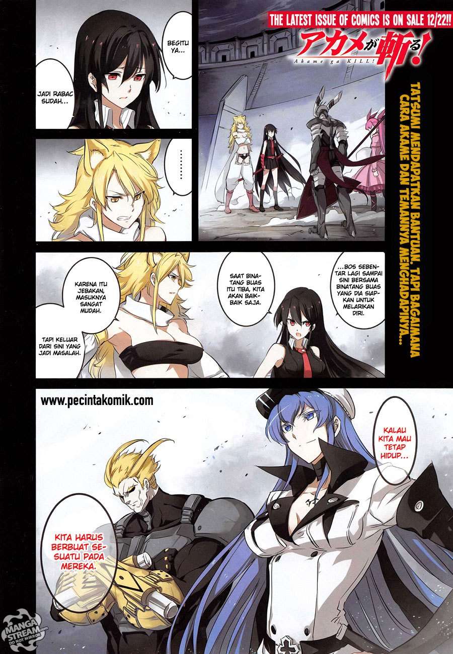 Akame ga Kill! Chapter 55 Image 1