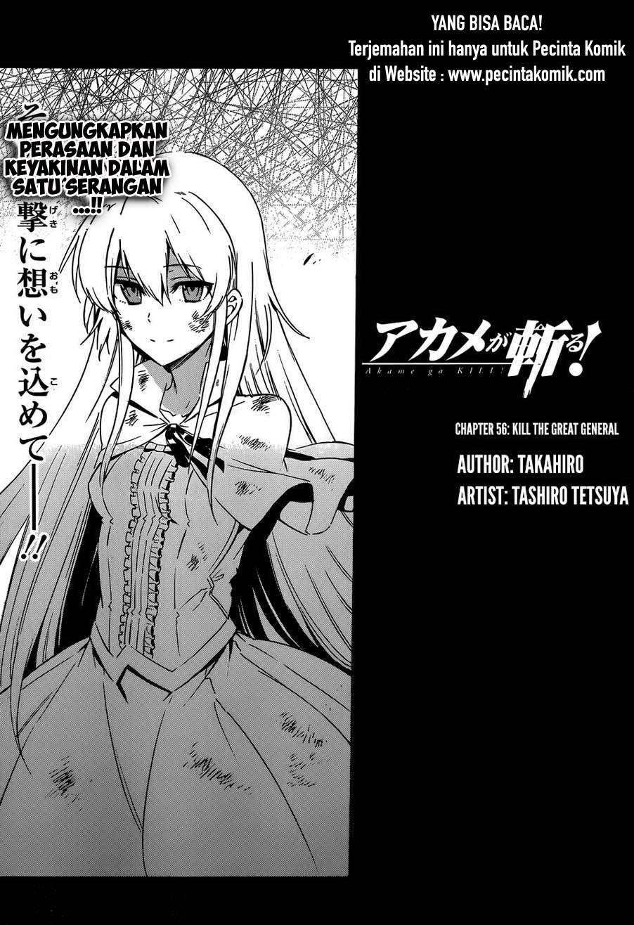 Akame ga Kill! Chapter 56 Image 18