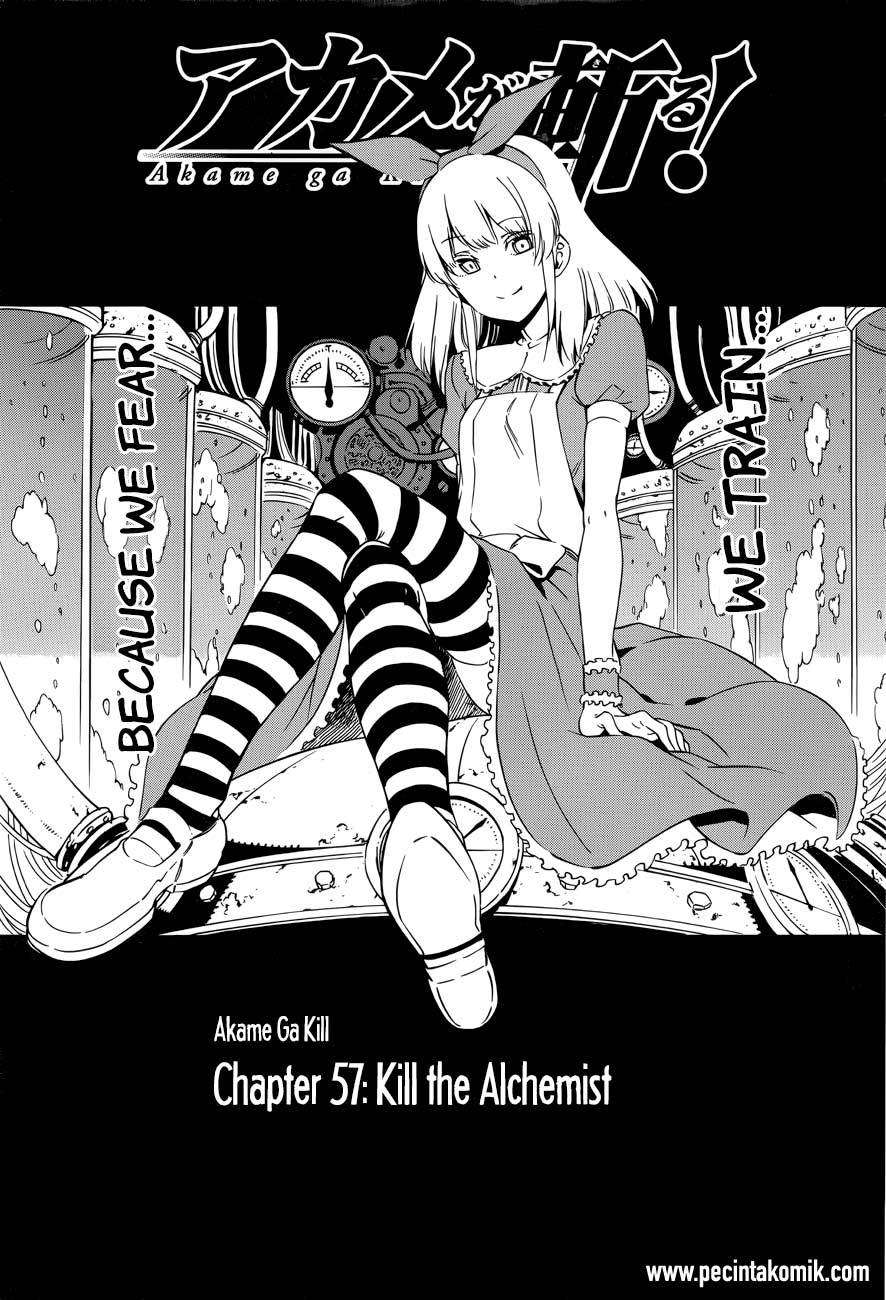 Akame ga Kill! Chapter 57 Image 2