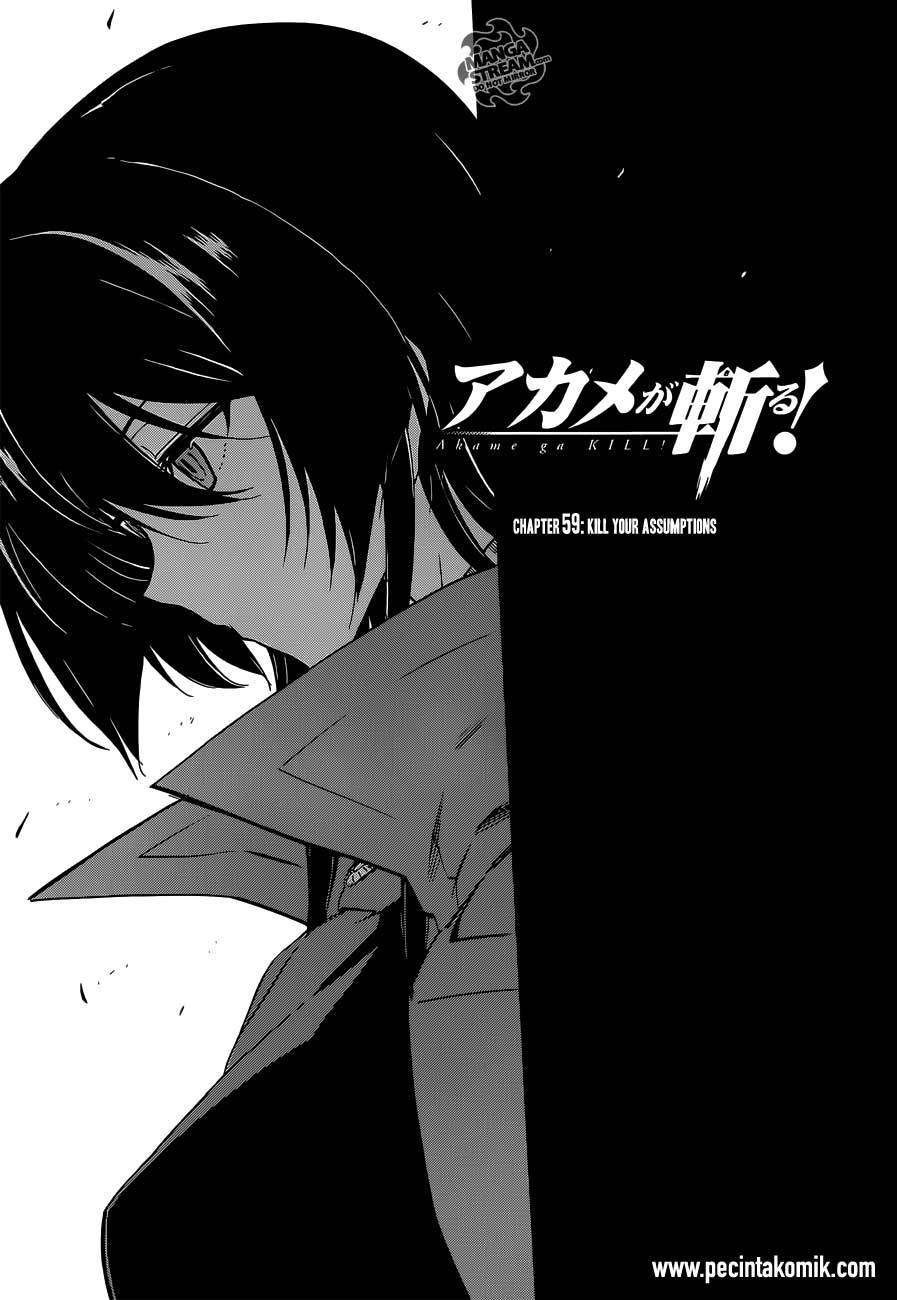 Akame ga Kill! Chapter 59 Image 1