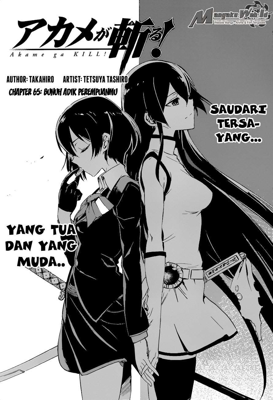 Akame ga Kill! Chapter 65 Image 3