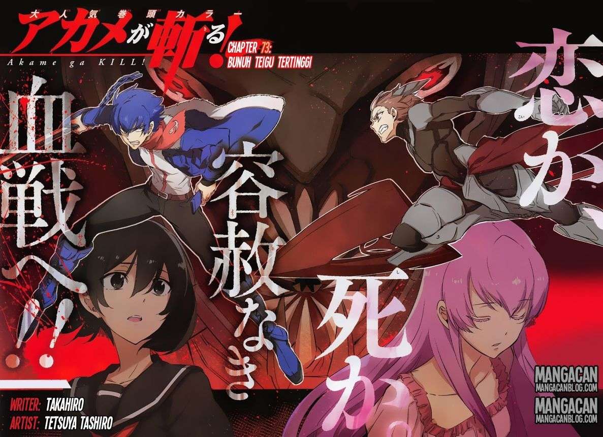Akame ga Kill! Chapter 73 Image 2