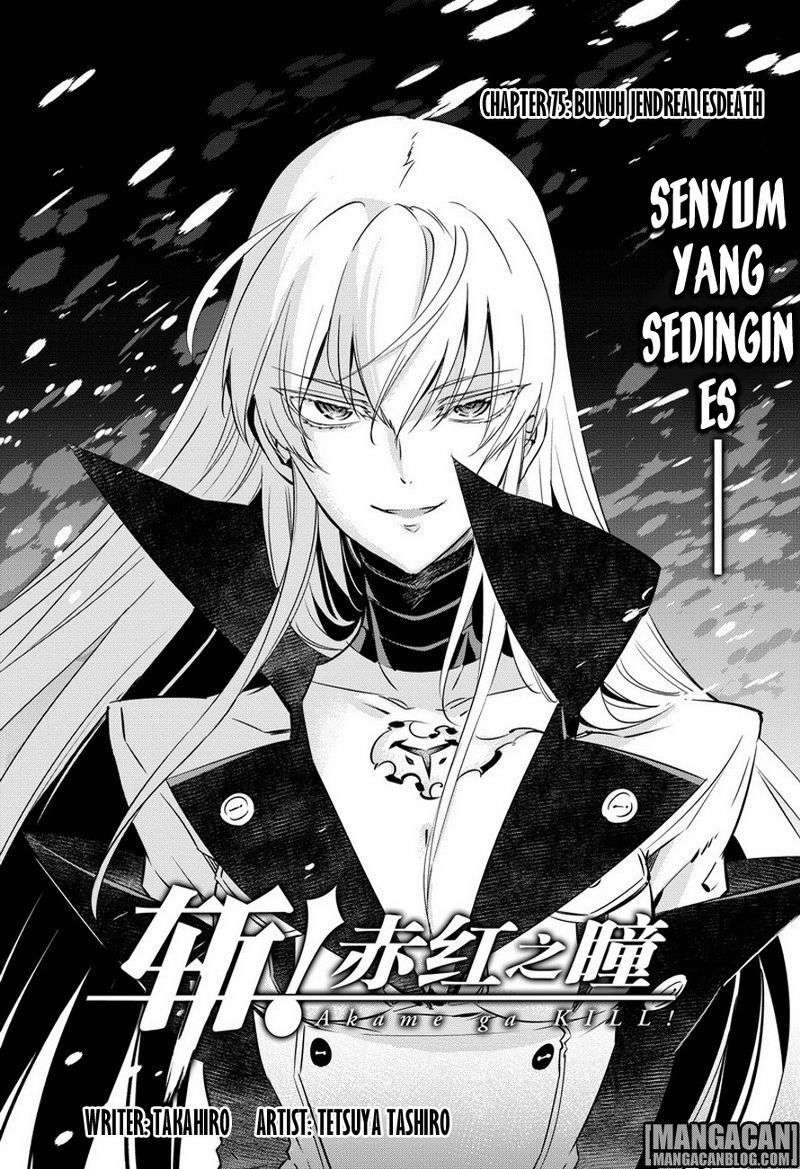 Akame ga Kill! Chapter 75 Image 3