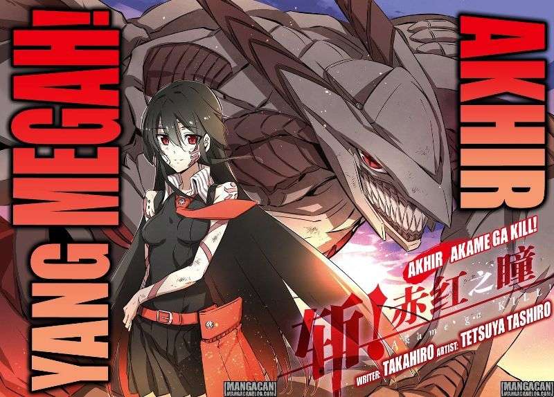 Akame ga Kill! Chapter 78 Image 2