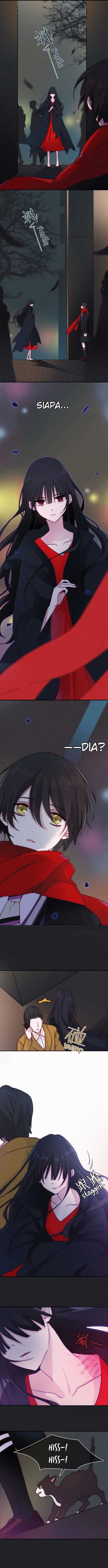 Falling in the Night with You Chapter 01 Image 6