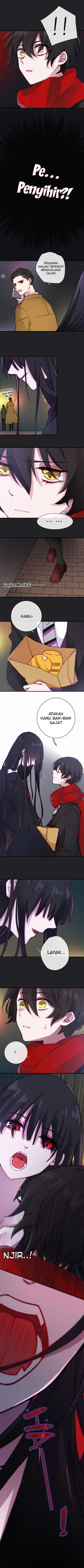 Falling in the Night with You Chapter 01 Image 7