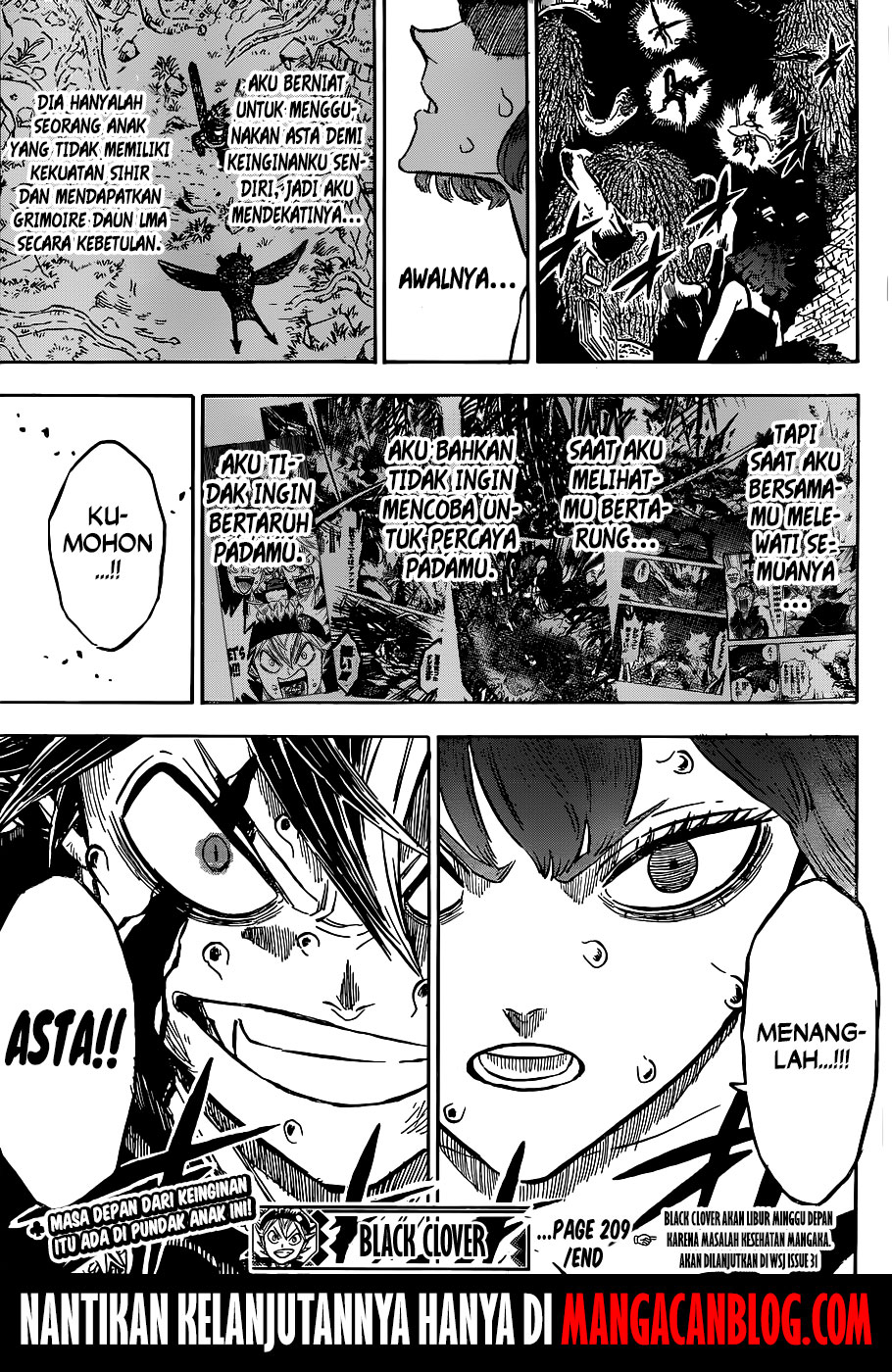 Black Clover Chapter 209 Image 11