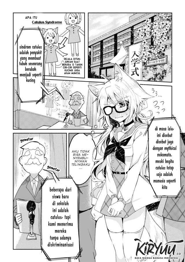 Catulus Syndrome Chapter 01 Image 5