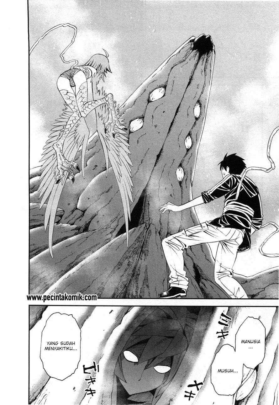 Monster Musume no Iru Nichijou Chapter 20 Image 14