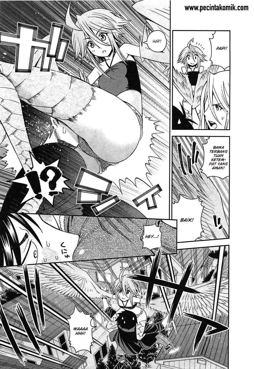 Monster Musume no Iru Nichijou Chapter 24 Image 7